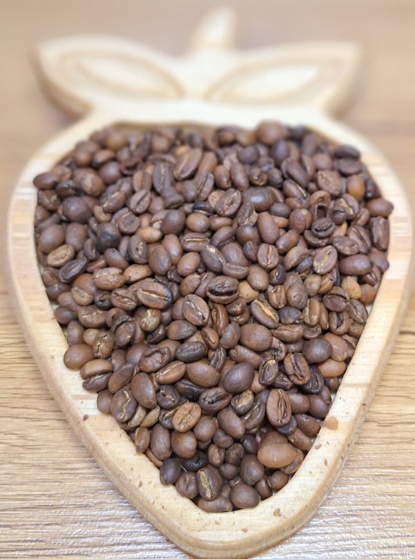 اتیوپی گوجی