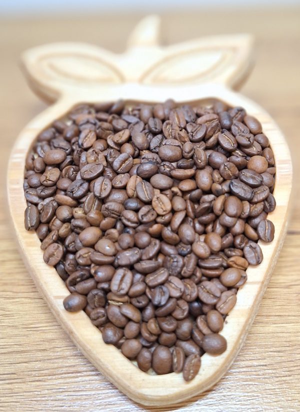 السالوادور