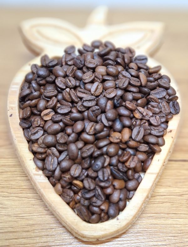 برزیل سانتوس